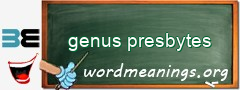 WordMeaning blackboard for genus presbytes